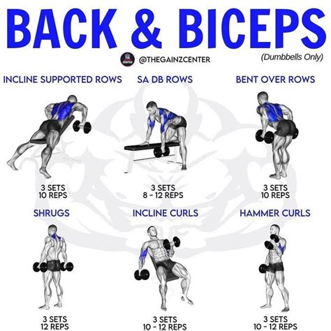 Back and bicep dumbbell workout. Things To Know About Back and bicep dumbbell workout. 
